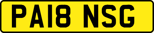 PA18NSG