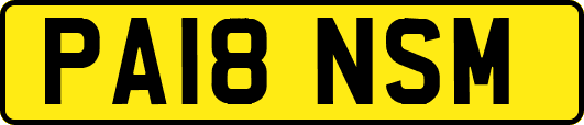 PA18NSM