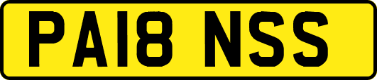 PA18NSS