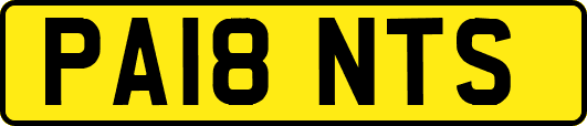 PA18NTS