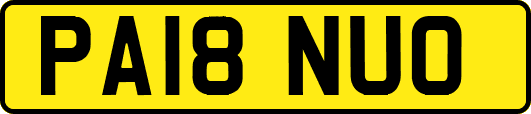 PA18NUO