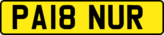 PA18NUR