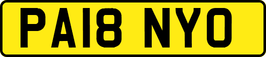 PA18NYO