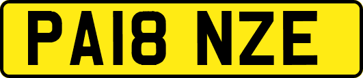 PA18NZE