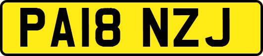 PA18NZJ