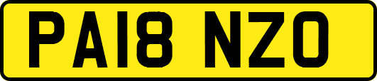 PA18NZO