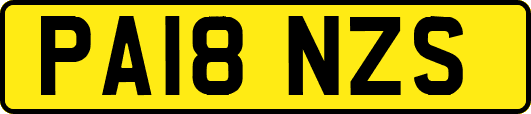 PA18NZS