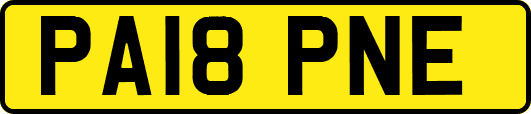 PA18PNE