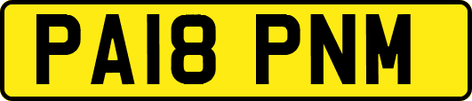 PA18PNM