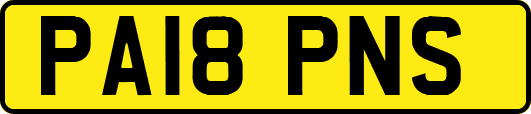 PA18PNS