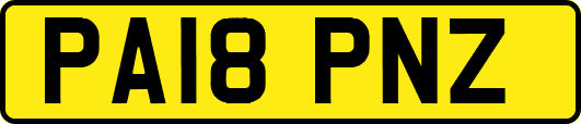 PA18PNZ