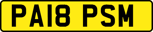 PA18PSM