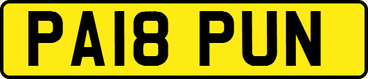 PA18PUN