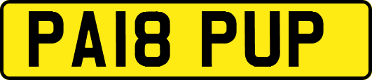 PA18PUP