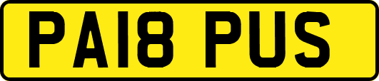 PA18PUS