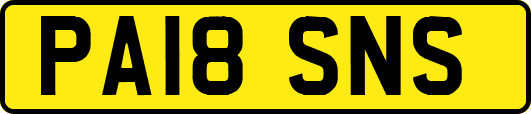 PA18SNS
