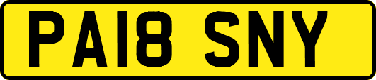 PA18SNY