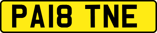 PA18TNE