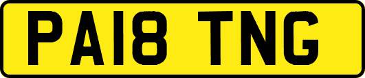PA18TNG