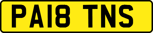 PA18TNS
