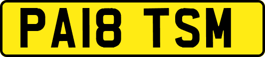 PA18TSM