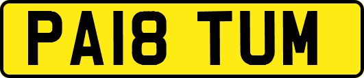 PA18TUM