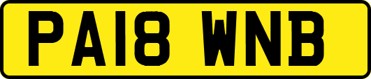 PA18WNB