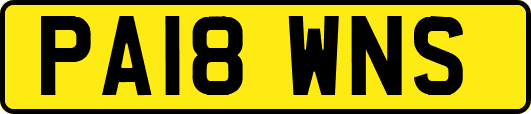 PA18WNS