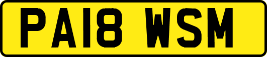 PA18WSM