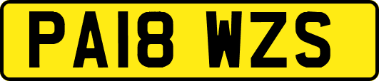 PA18WZS