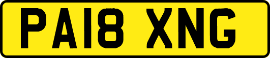 PA18XNG