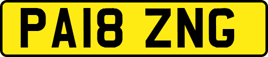 PA18ZNG