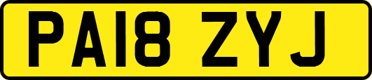 PA18ZYJ