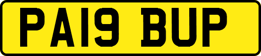 PA19BUP