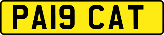 PA19CAT