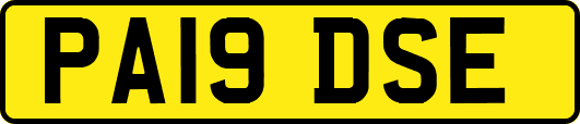 PA19DSE