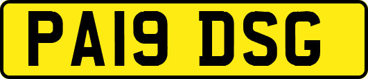 PA19DSG