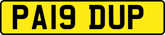 PA19DUP