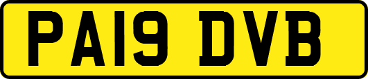 PA19DVB