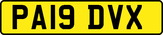PA19DVX