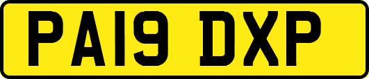 PA19DXP