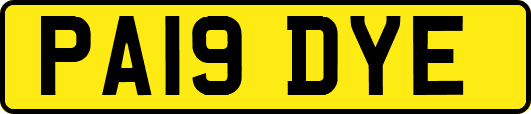 PA19DYE