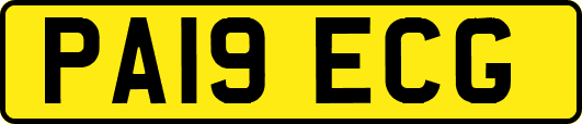PA19ECG