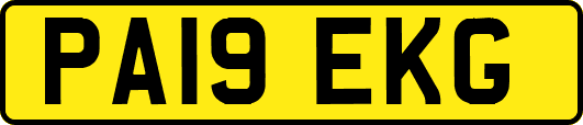 PA19EKG