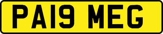 PA19MEG