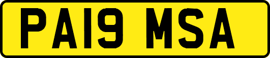PA19MSA