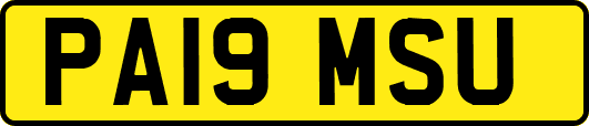 PA19MSU