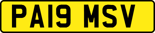 PA19MSV
