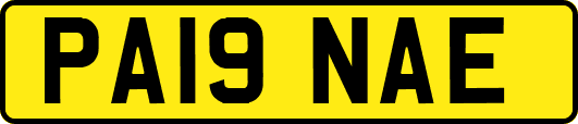 PA19NAE