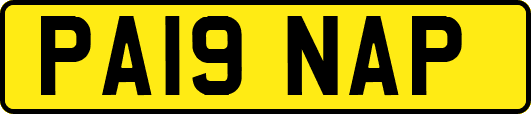 PA19NAP